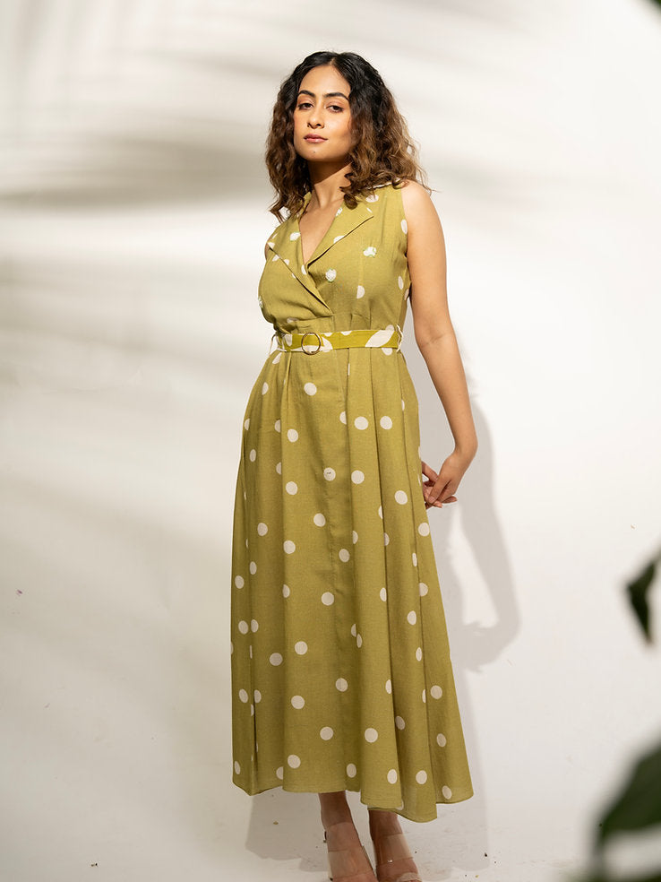 Summer Polka Dress